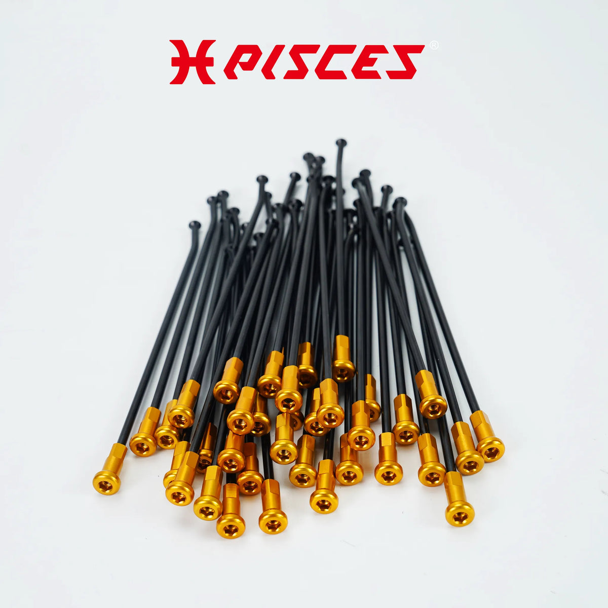 Jeu de rayons noirs et écrous dorés Pisces Custom pour Supermoto, MX et Enduro.