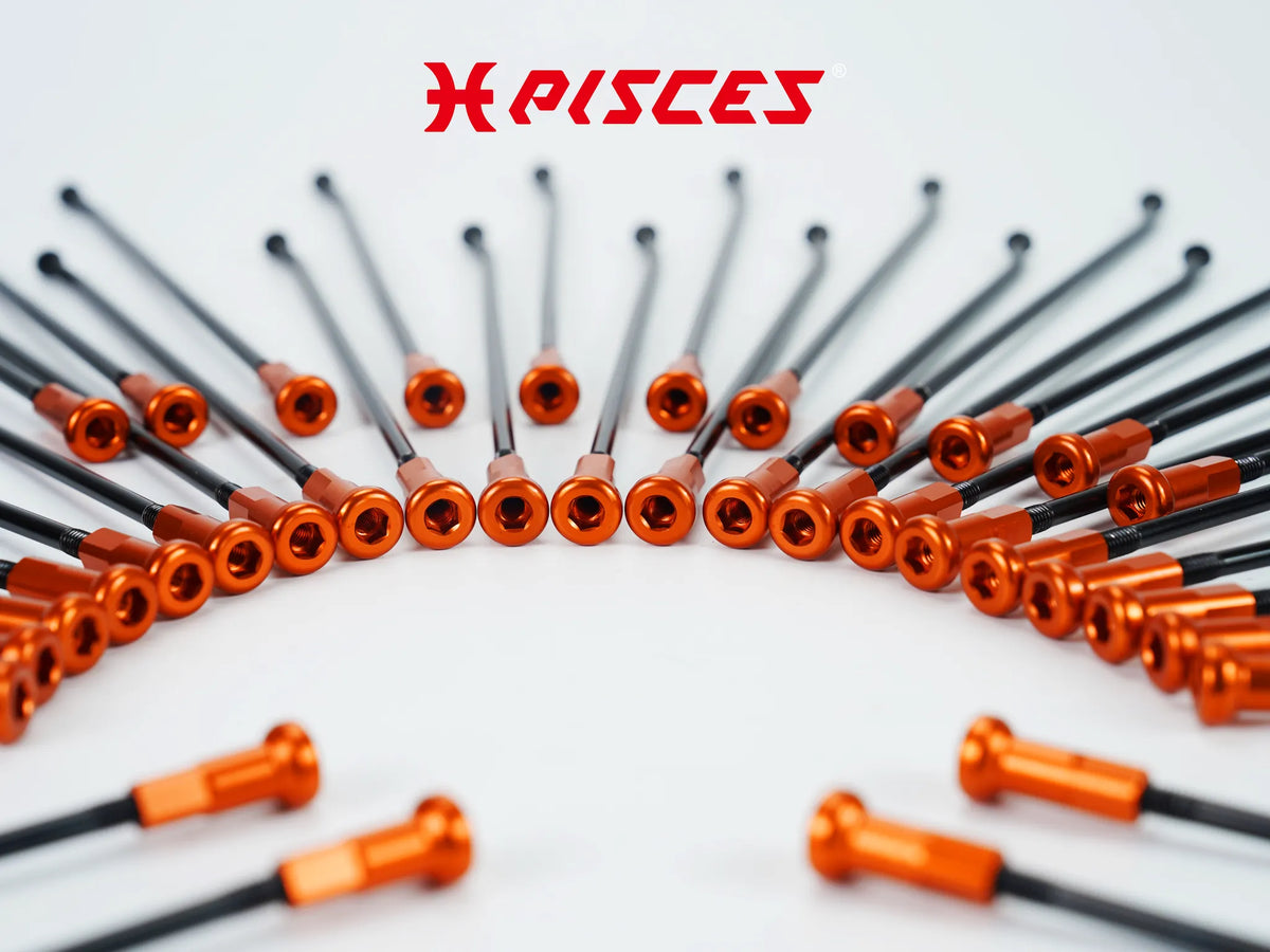 Gros plan sur les écrous de rayons orange Pisces Custom montés sur des rayons noirs.