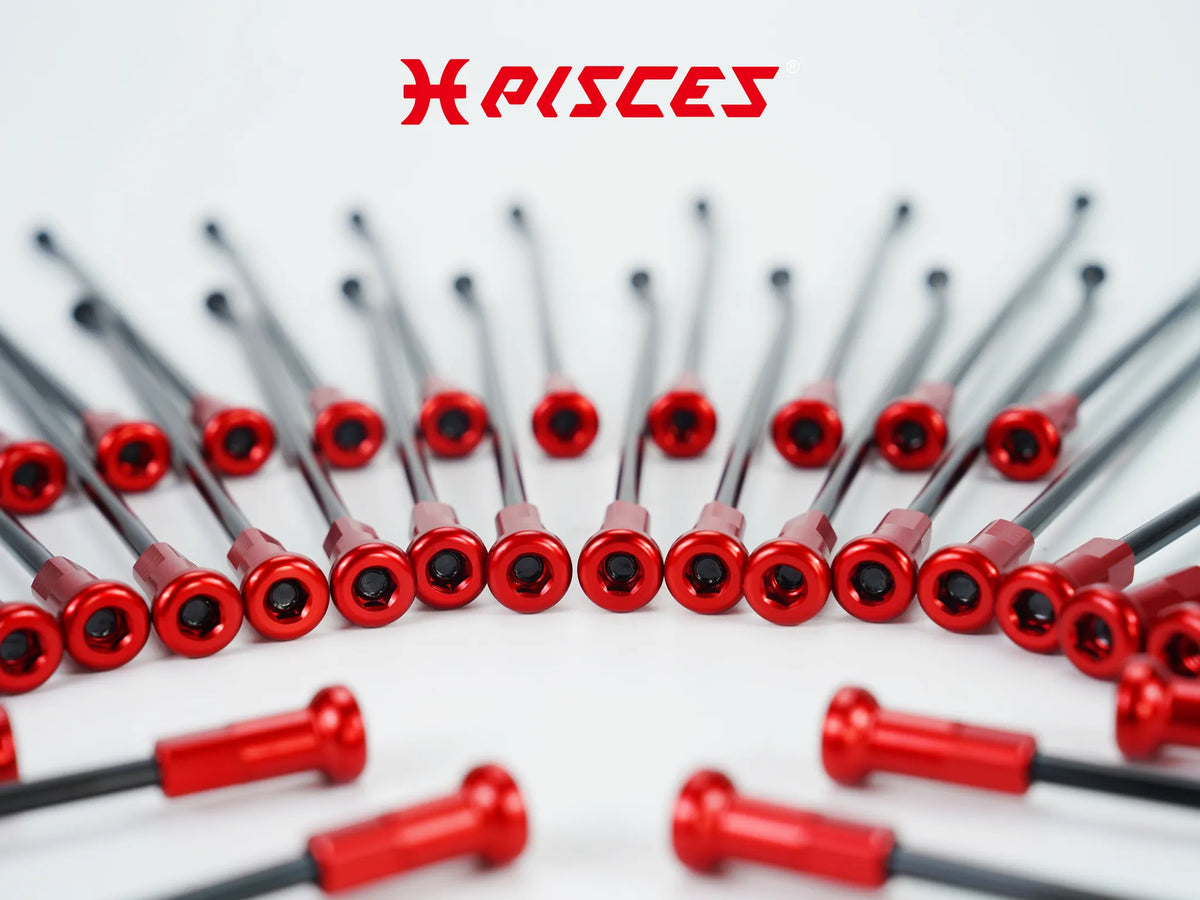 Gros plan sur les écrous de rayons rouges Pisces Custom montés sur des rayons noirs.
