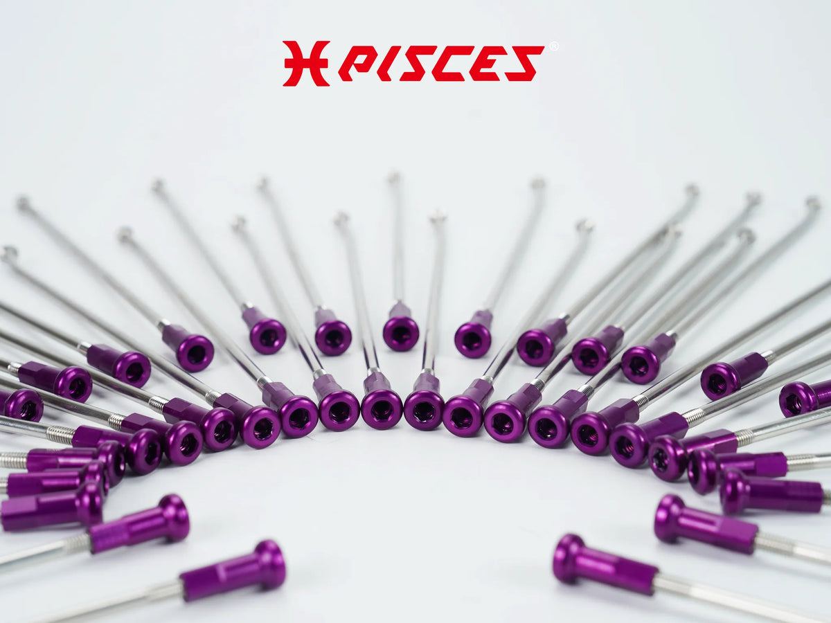 Gros plan sur les écrous de rayons violets Pisces Custom montés sur des rayons argentés.
