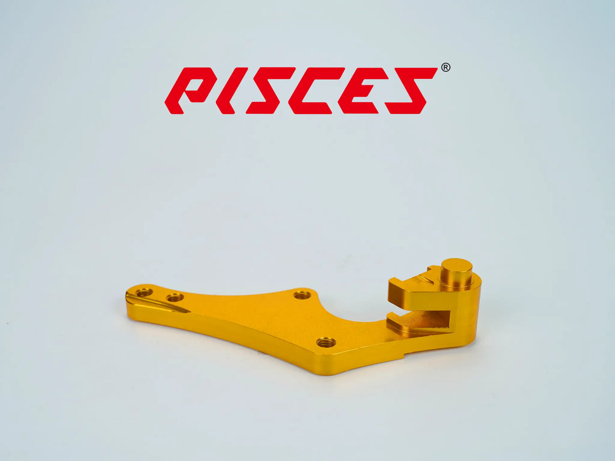 Support déporté supermoto personnalisé Pisces 320mm en doré, vue arrière.