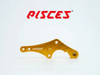 Support déporté supermoto personnalisé Pisces 320mm en doré, vue de face.