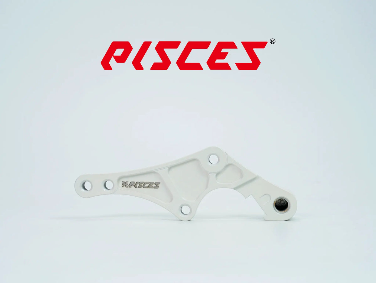 Support déporté supermoto personnalisé Pisces 320mm en blanc, vue de face.